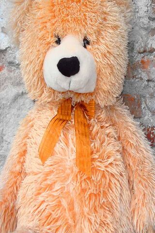 Bear: The Gentle Giant ..