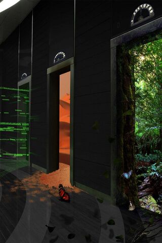 Navigating Life's Choices 🌟