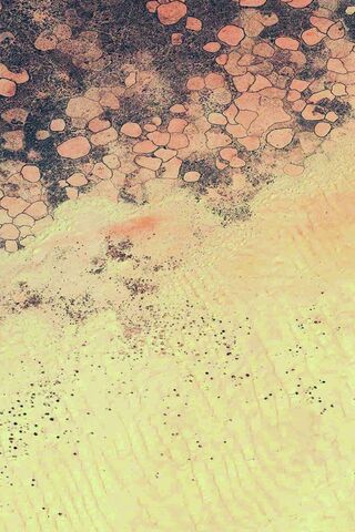 The Art of Texture: A V..