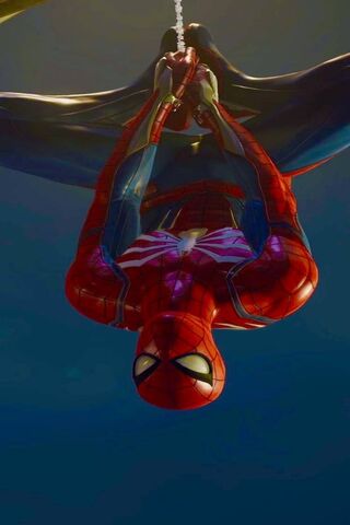 Swinging into Action: T..