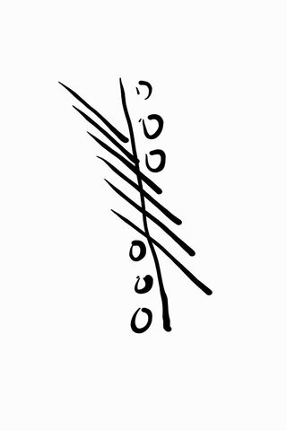 Rhythms of the Void 🎨