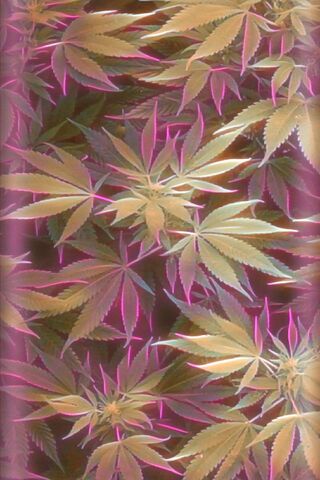Electric Green Dreams 🌿✨