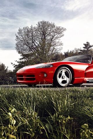 The Bold Spirit of Red