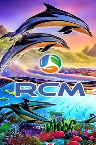 Rcm Business 4