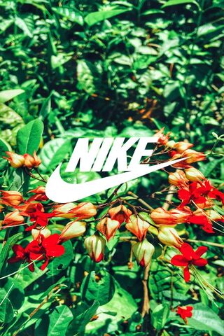 Реферат Nike