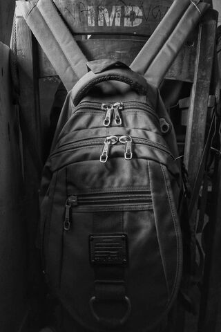 The Silent Companion: A..