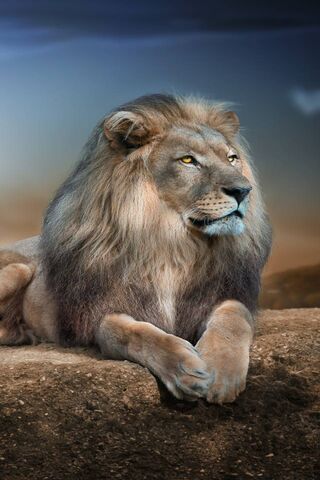 राजा सिंह