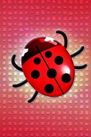 Ladybird Drawing, cute ladybug, animals, cartoon, desktop Wallpaper png |  PNGWing