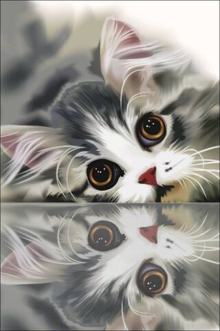 Gambar Kucing Cute Wallpaper - Muat turun ke telefon bimbit anda 