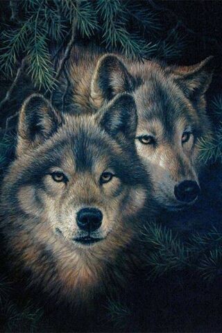 The Spirit of the Wild:..