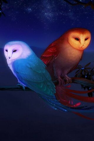 Whispers of the Night: ..