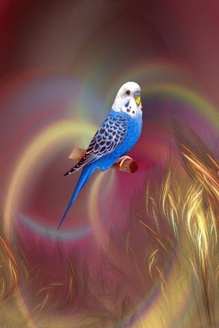 Whimsical Flight: An Ab..