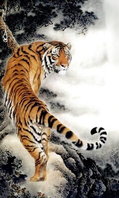 100+] Tiger Iphone Wallpapers | Wallpapers.com