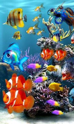3D Aquarium Wallpaper - Download to your mobile from PHONEKY