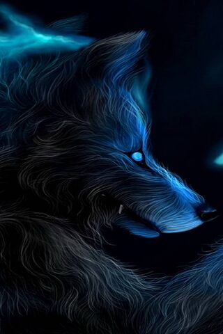 الذئب المظلم