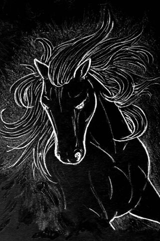 Horse In Black Art