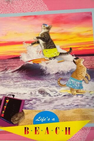 Surfing Felines: A Purr-fect Day at the Beach! 🏖️🐾