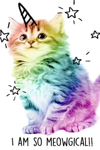 Magical Whiskers: The R..