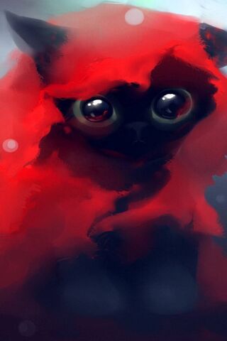 Red Riding Hood Cat