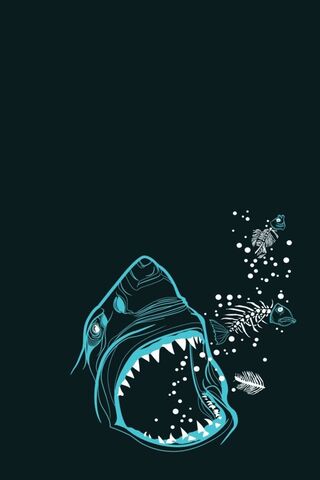 Shark art collage formatted for iPhone backgrounds hammerhead shark phone  HD phone wallpaper  Pxfuel