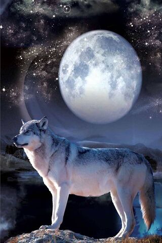 Lone Moon Wolf