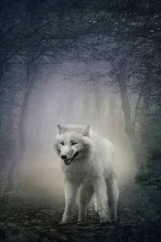 Whispers of the White Wolf 🌫️🐺