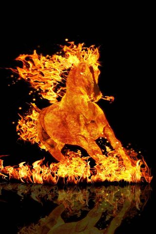 Kuda Api