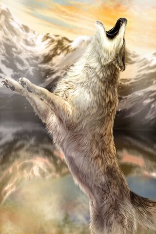 Echoes of the Wilderness 🌄🐺