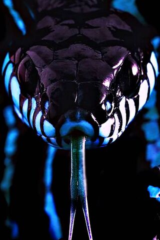 The Serpent's Whisper: ..