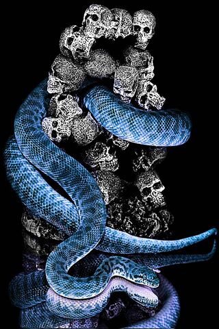 3d Rendering Of A Purple Snake In Neon Light On A Black Background,  Blacklight Painting Stock Photo, Picture and Royalty Free Image. Image  206874703.