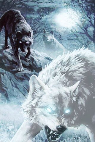 Wolves14