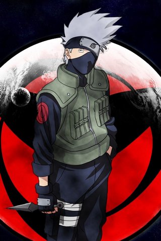 The Journey of a Ninja:..