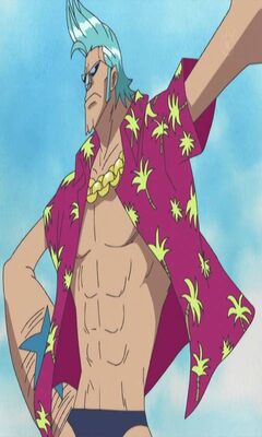 Free download Franky x PregnantReader by Shadowfollowed on 670x1000 for  your Desktop Mobile  Tablet  Explore 96 Franky Wallpapers 