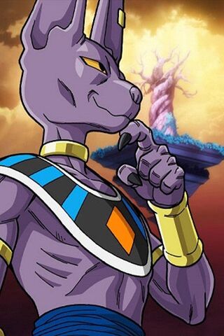 Beerus Phone Wallpapers  Wallpaper Cave