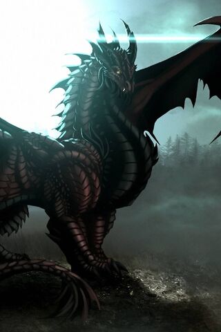 Dragon Of Black