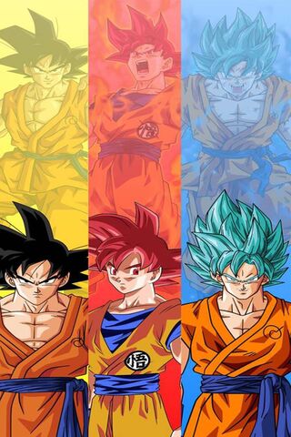 Fases De Goku 3