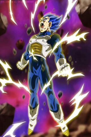 Vegeta: The Prince of P..