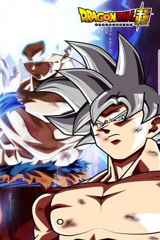 Goku's Ultimate Transfo..