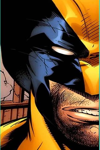 The Fierce Spirit of Wolverine 🐾