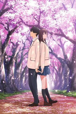 Blossoms of Connection: A Journey of Heart and Hope 🌸💖