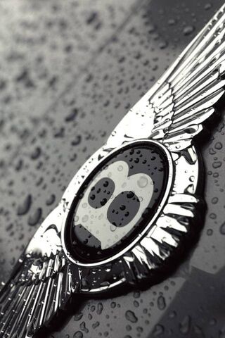 Wet Bentley Logo