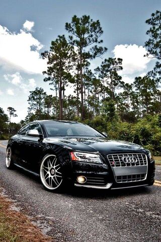 The Sleek Power of the ..