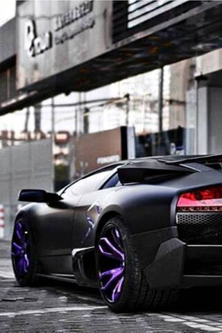 Unleashing the Beast: T..
