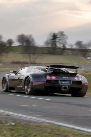 The Pinnacle of Speed: ..