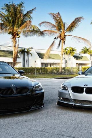 The Ultimate Driving Ma..
