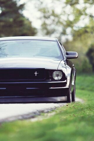 The Enigmatic Devil: A ..