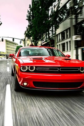 Dodge