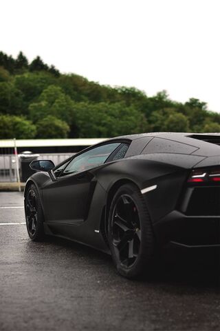 Unleashing the Beast: T..