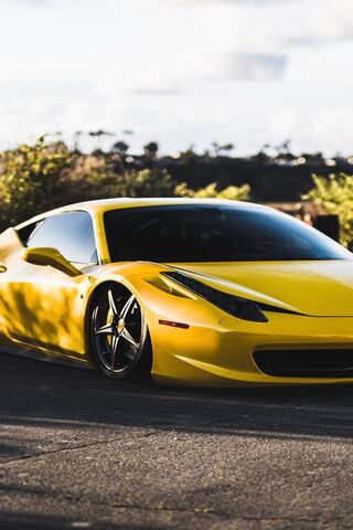Sunshine Speed: The Fer..