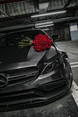 Mercedes rosas